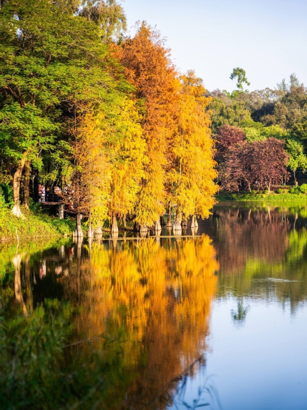 2189f049a0c3413a972cfd46b3efaec7.jpg 2189f049a0c3413a972cfd46b3efaec7.jpg