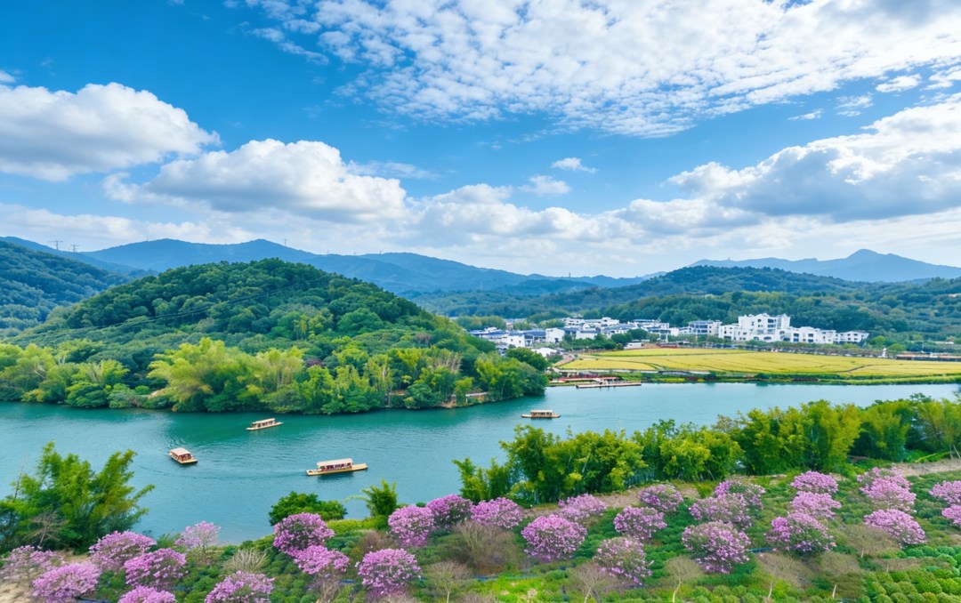 ()微信图片_20260115164311_5_180