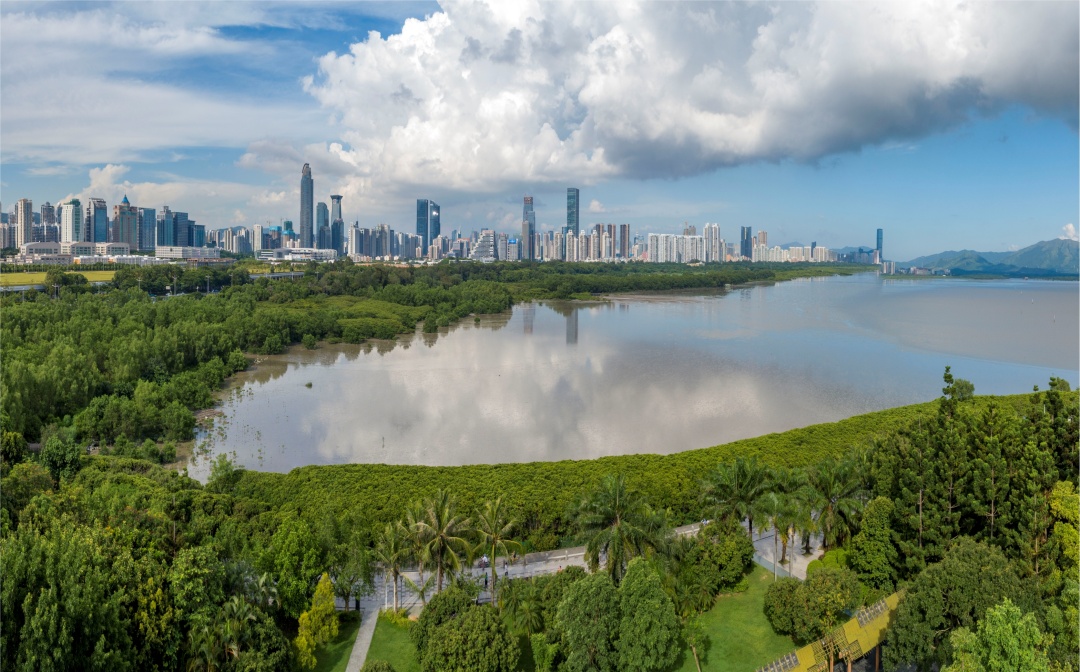 国际红树林中心(深圳)