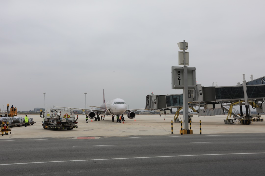 微信图片_20260122134127_499_740