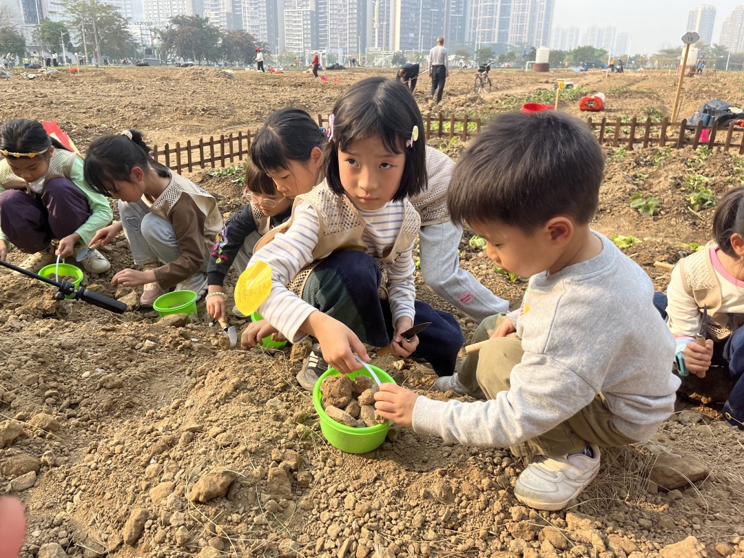 邻里花园志愿服务队组织开展儿童户外科学探索课程 (2)