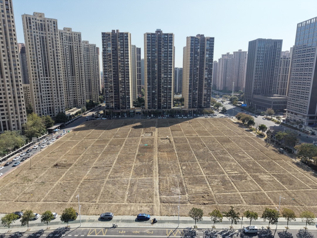 共享菜园俯瞰图