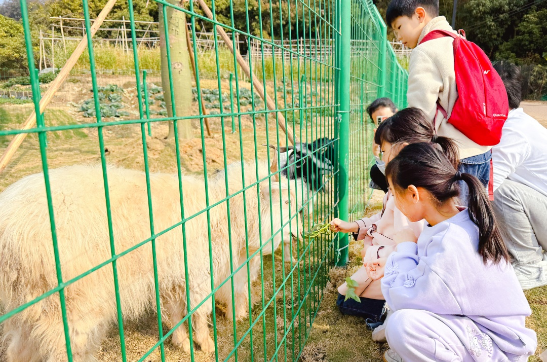 2026年1月28日,深湾村“稻里·深湾”农业园,小朋友在萌宠乐园与动物亲密接触。图/广州日报新花城记者:莫伟浓