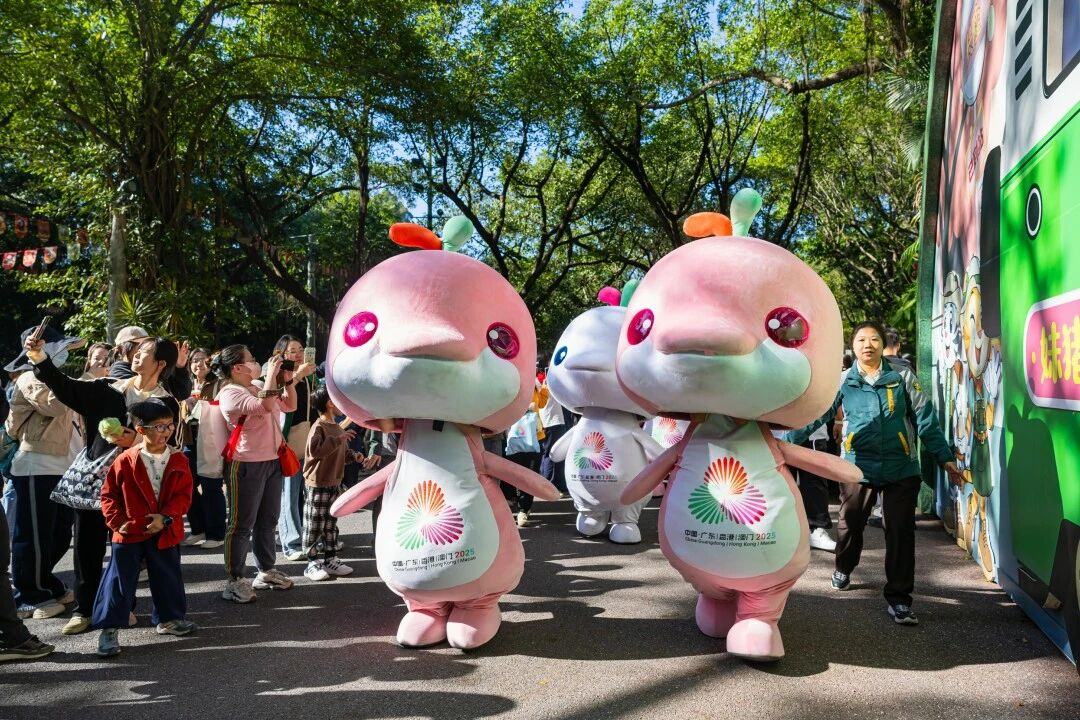 微信图片_20260129141459