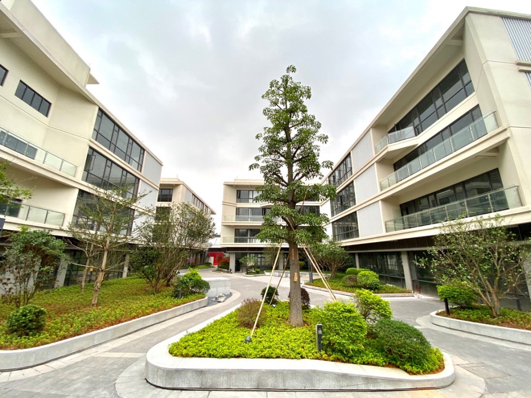 高鹤涛-配图:华新科创岛-NEP1_20260130_C00414980690