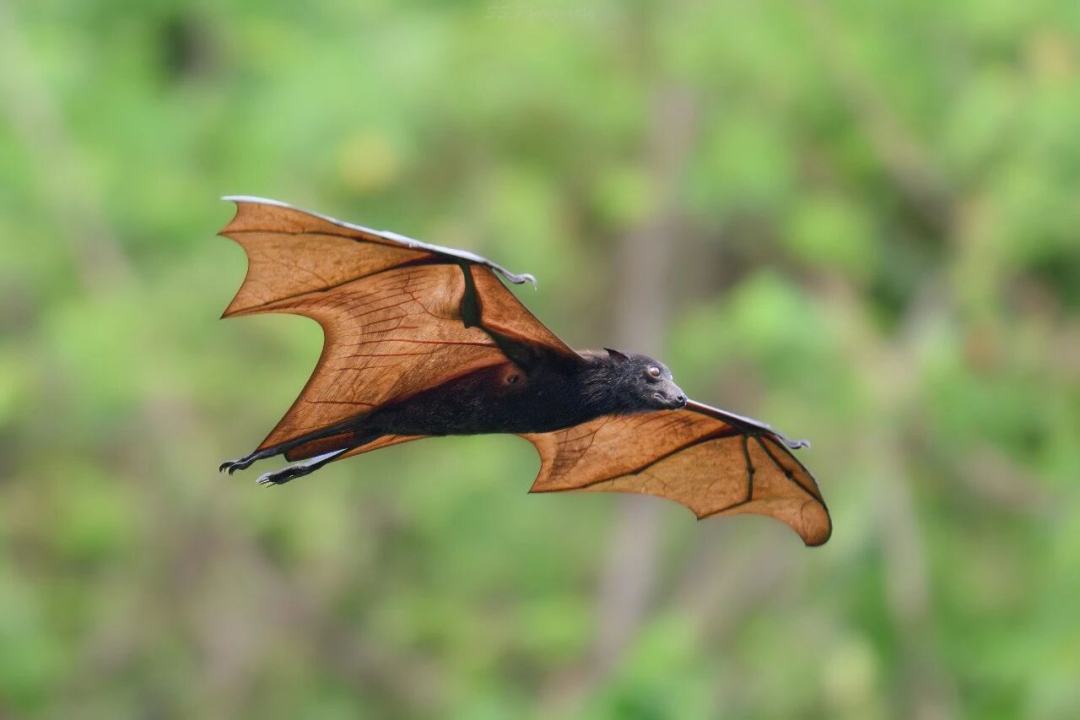 50e6e772c69fe807dc306e4c62760a1f.jpg 50e6e772c69fe807dc306e4c62760a1f.jpg