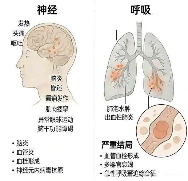 916cc6602433d48eb3c696ab5c9513b0.jpg 916cc6602433d48eb3c696ab5c9513b0.jpg