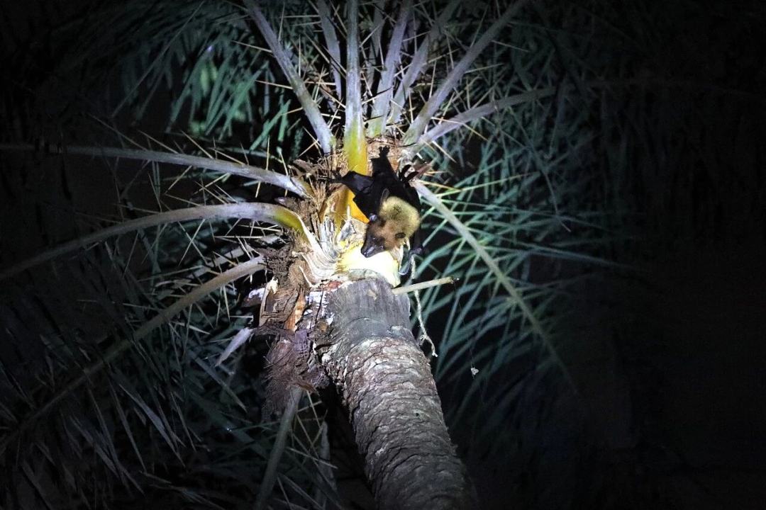 30ed38250e0e8b39a2d3534db50be7c5.jpg 30ed38250e0e8b39a2d3534db50be7c5.jpg