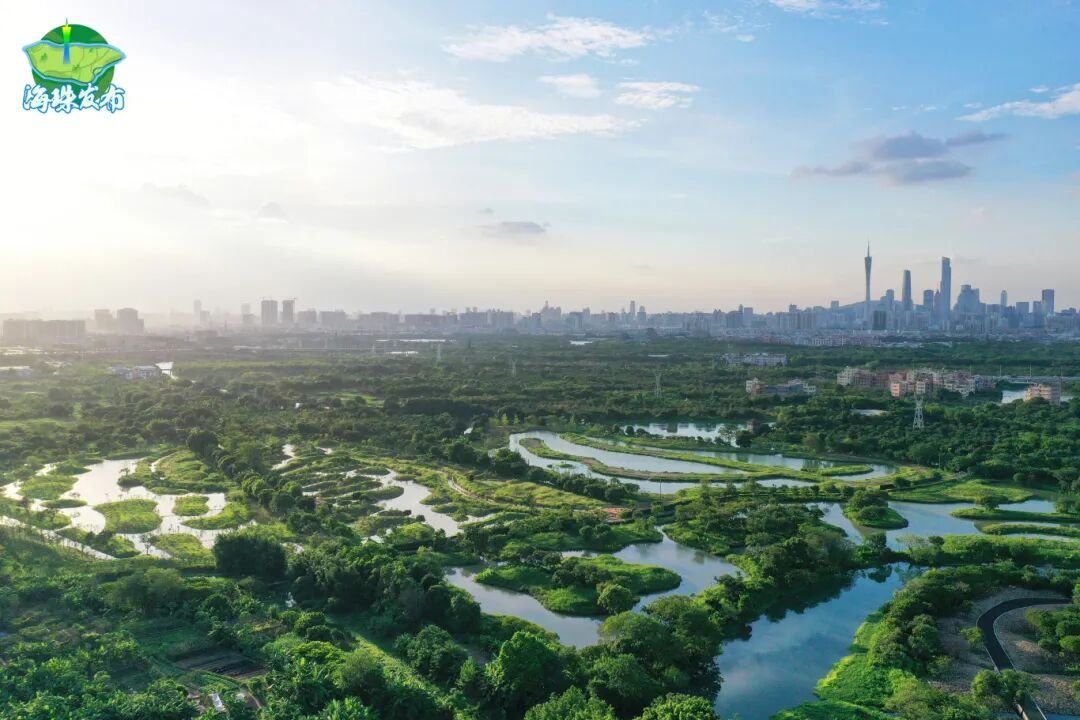 广州海珠国家湿地公园，位于广州市.jpg