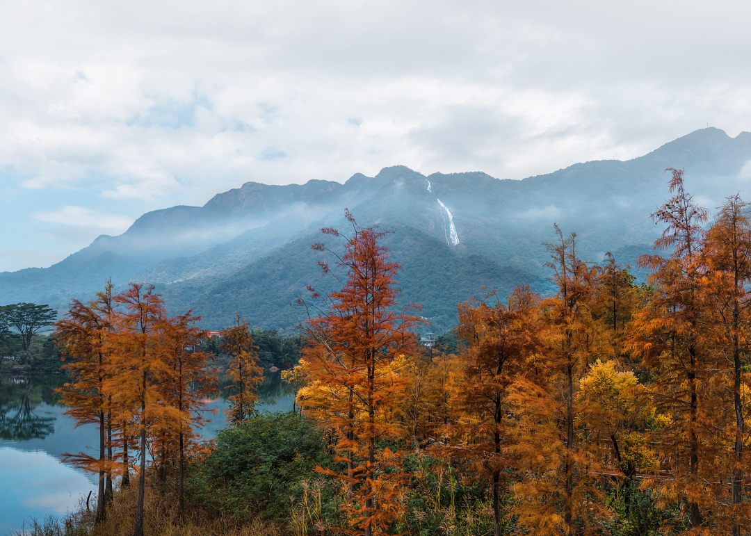 微信图片_20260130175127_39_429