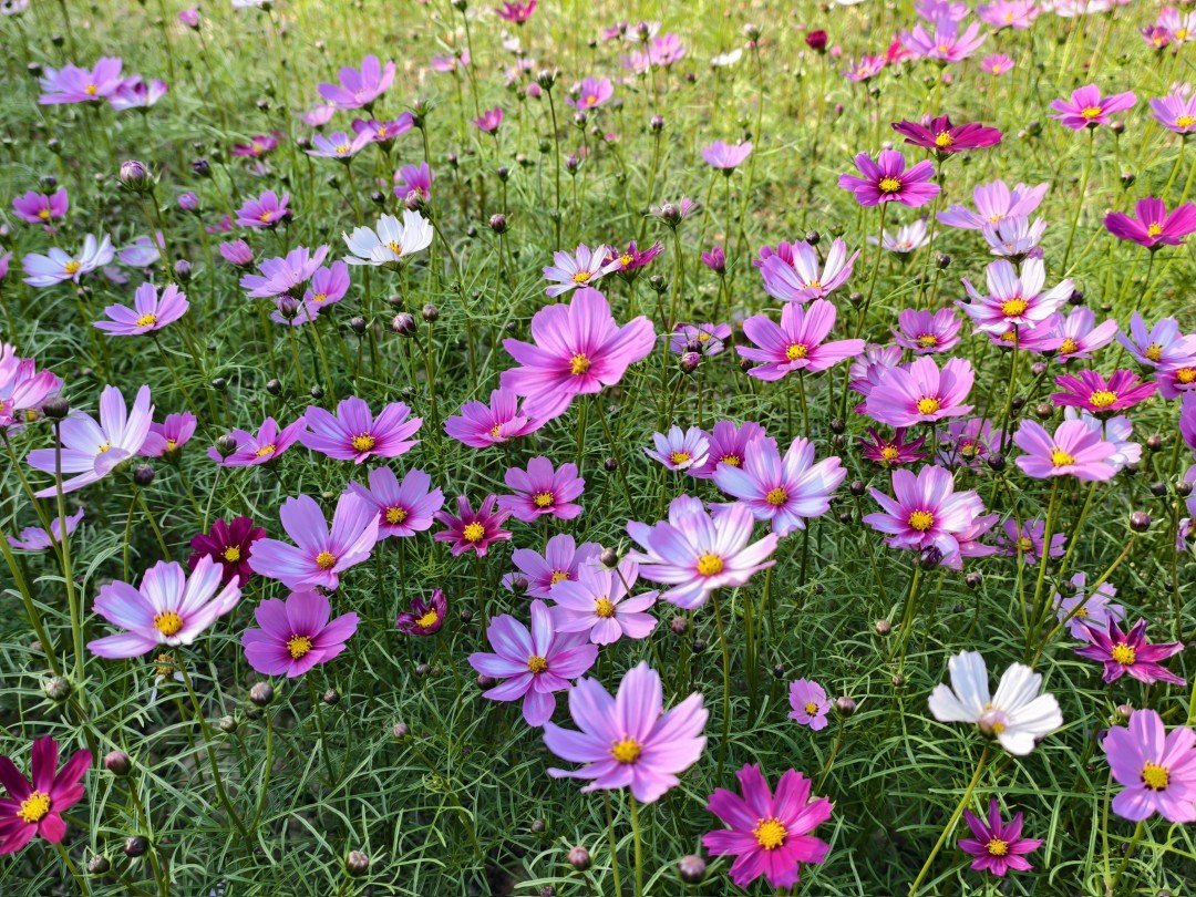 图片23.jpg 图片23.jpg