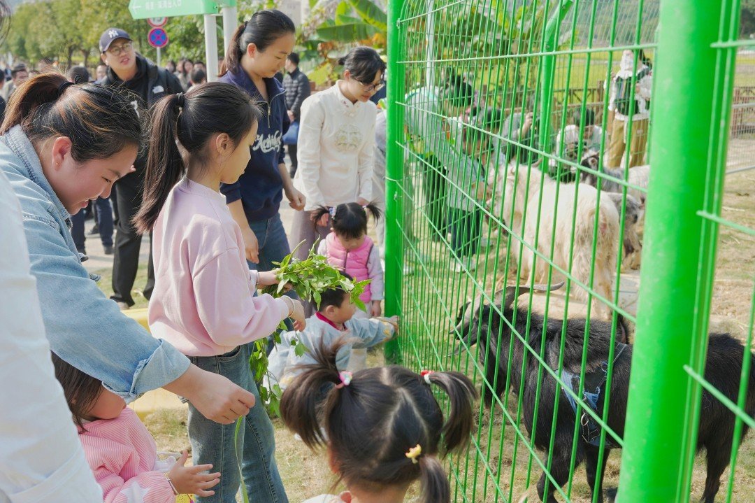 图片24.jpg 图片24.jpg