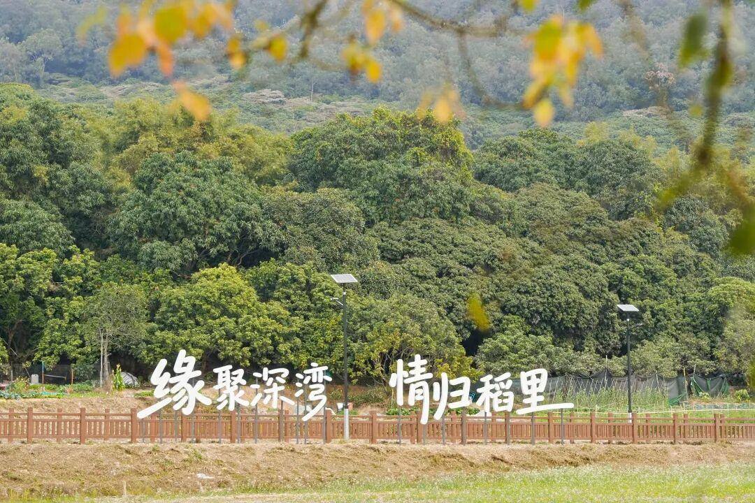 图片25.jpg 图片25.jpg