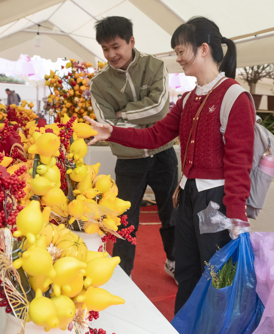 岭南花卉市场,市民在挑选年花。图/广州日报新花城记者:廖雪明