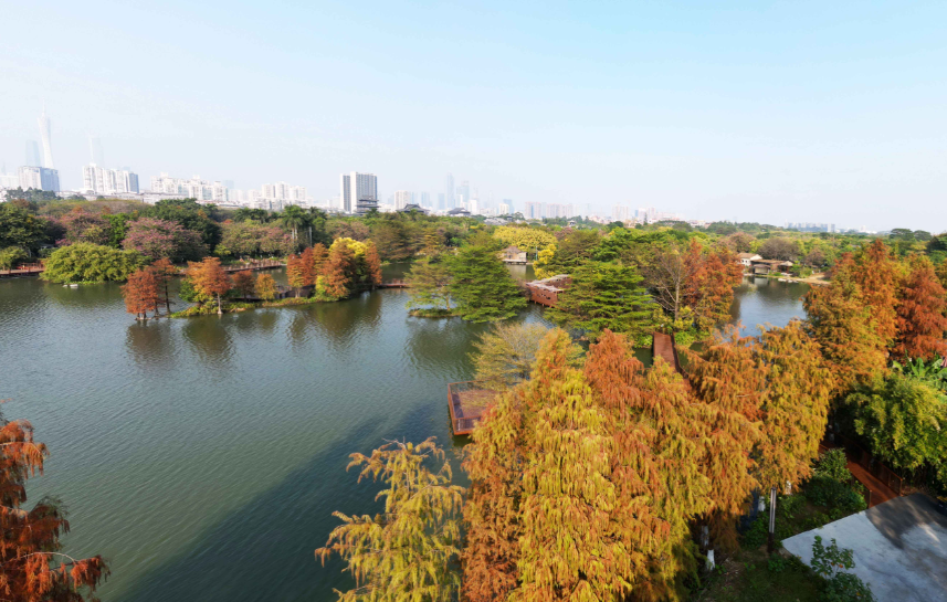 2e320213cdf019873bc002938521b3e.png 2e320213cdf019873bc002938521b3e.png