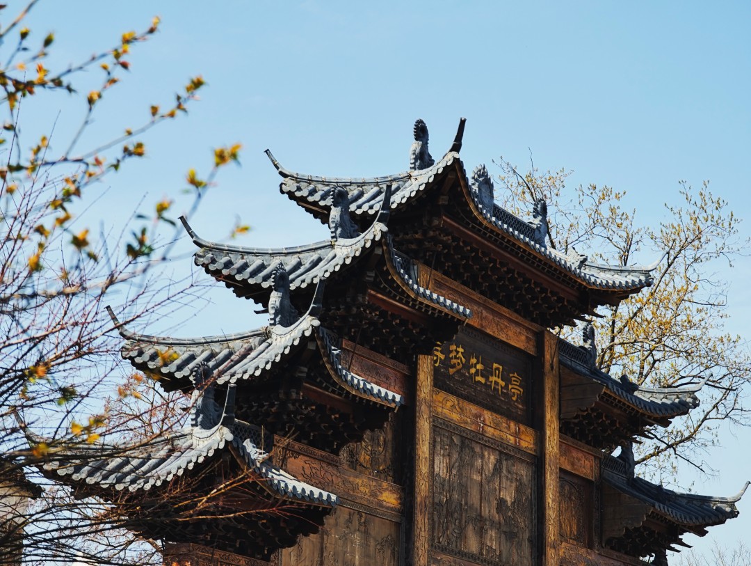 抚州文昌里历史文化街区《寻梦牡丹亭》