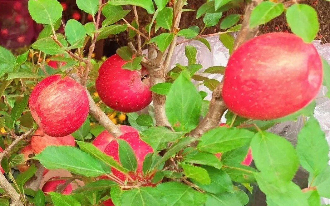 1770284158027054156.jpeg 1770284158027054156.jpeg