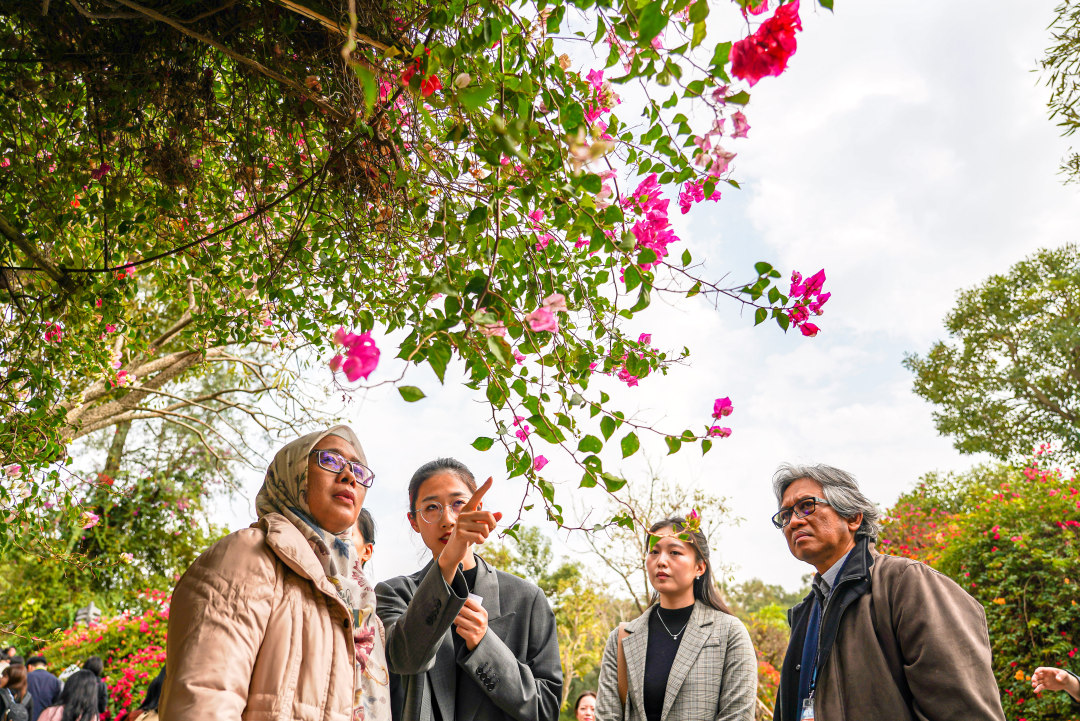 嘉宾向工作人员了解簕杜鹃。