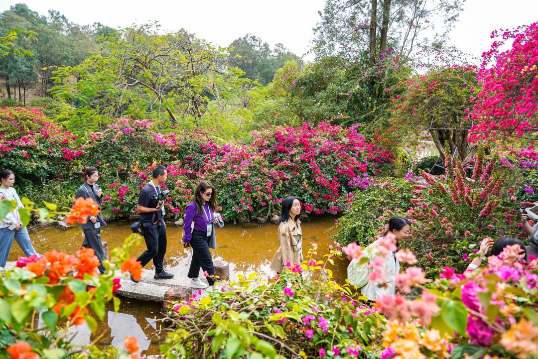 嘉宾走在繁花之中。