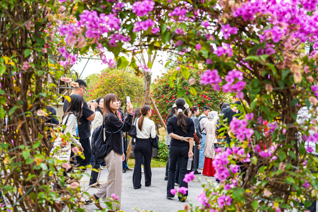 繁花盛开的景致吸引嘉宾拍照。