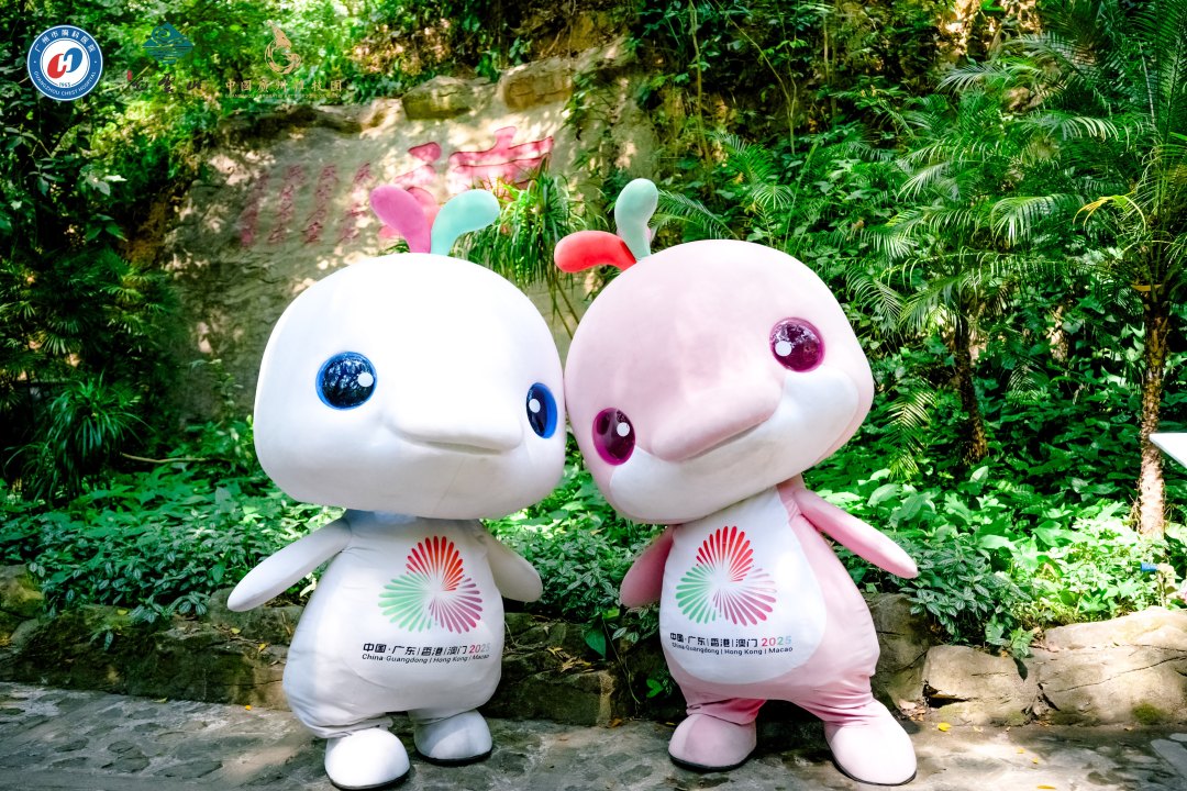 微信图片_20260209142124_808_366