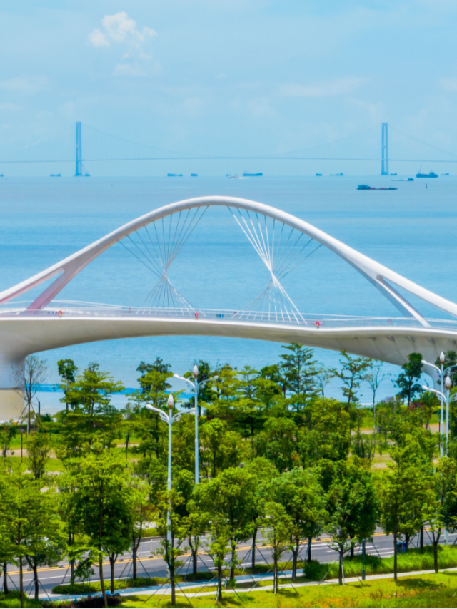 无  通讯员 受访者供图 供图