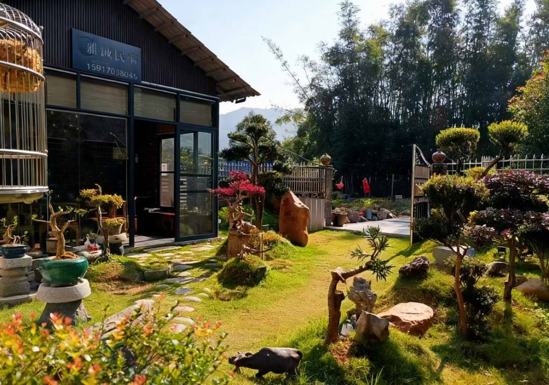 梅坑镇梅东村“雅趣”小院2(1)