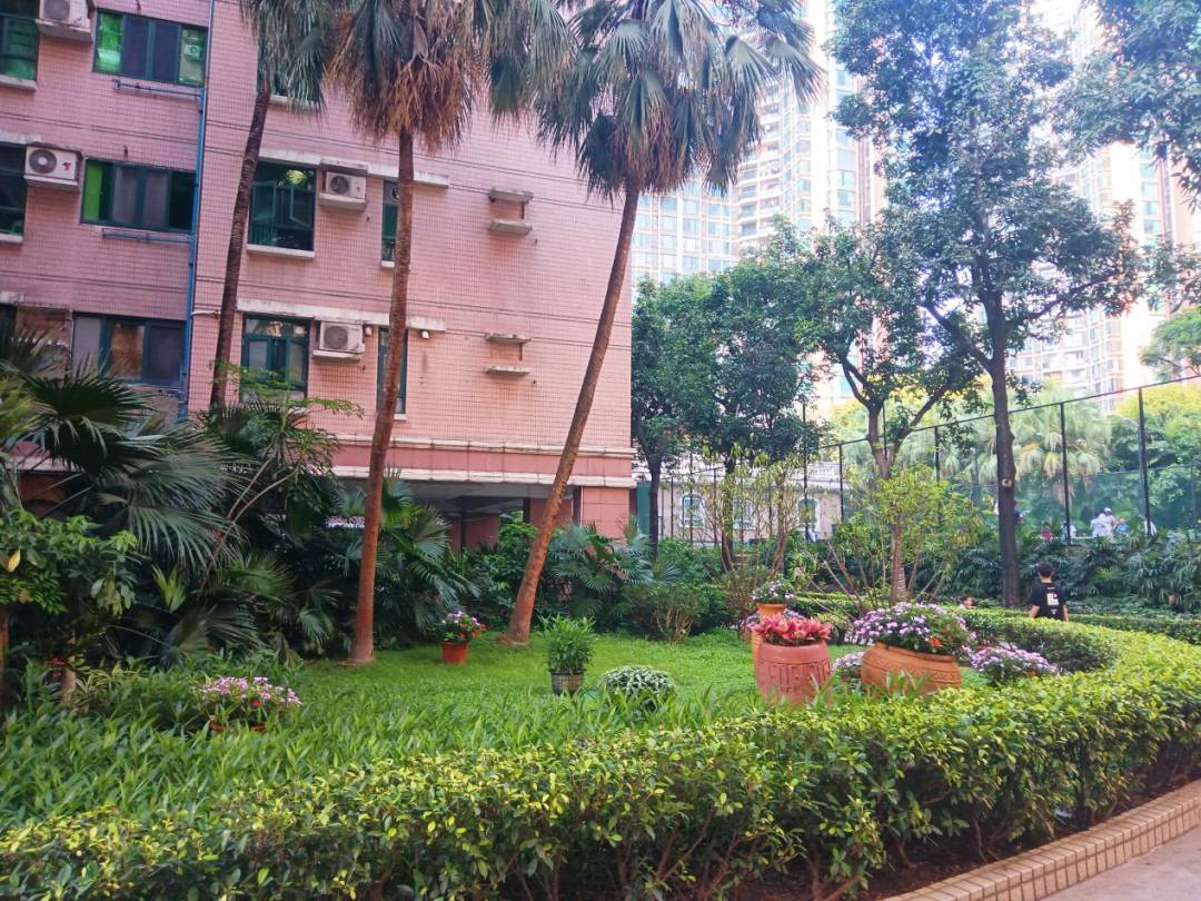 绿色理念在社区内扎根