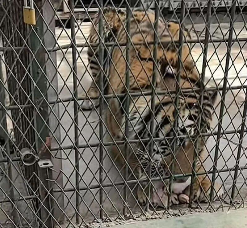 2ed7c4fa269669bfb45ec80ae4743476.jpg 2ed7c4fa269669bfb45ec80ae4743476.jpg