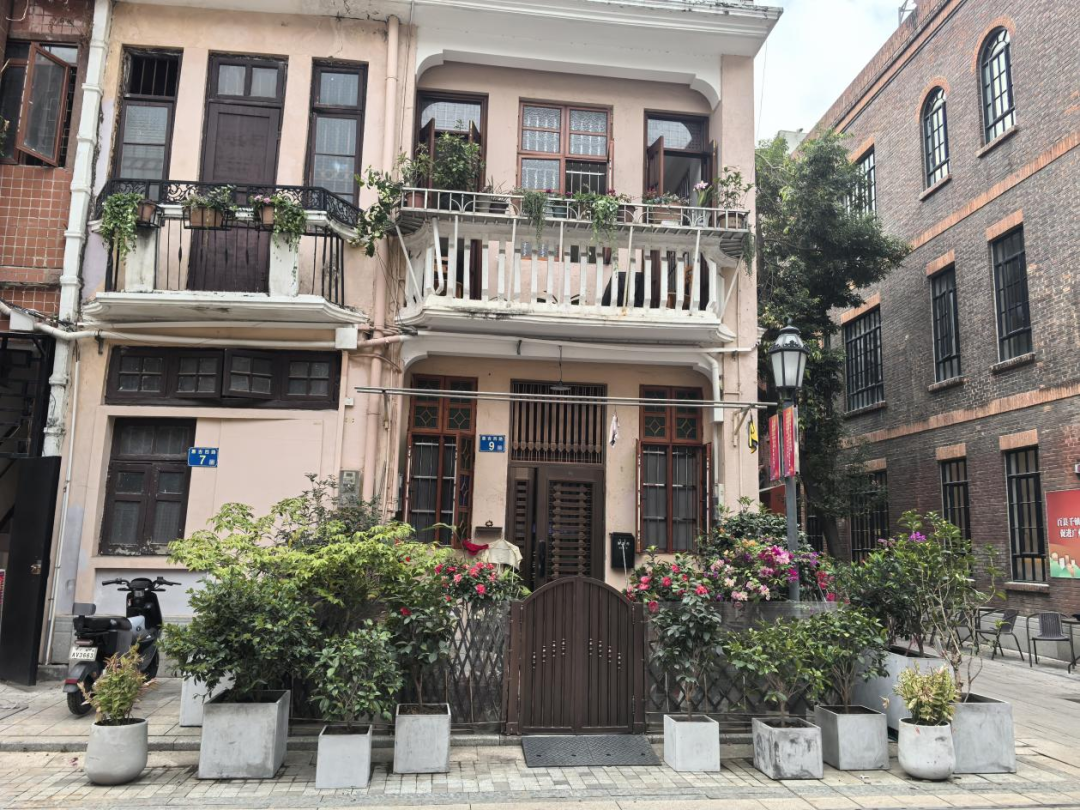 社区居民爱好种植花木