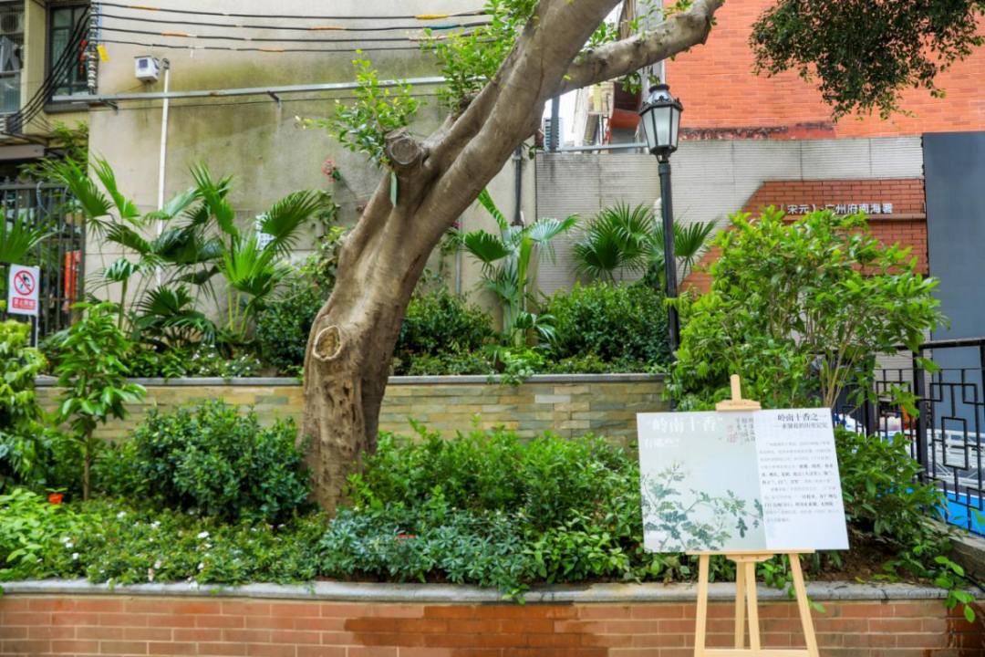 网红地标自带“香氛滤镜”