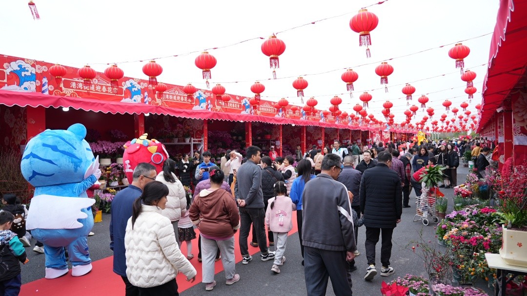 微信图片_2026-02-10_180918_441.jpg 微信图片_2026-02-10_180918_441.jpg