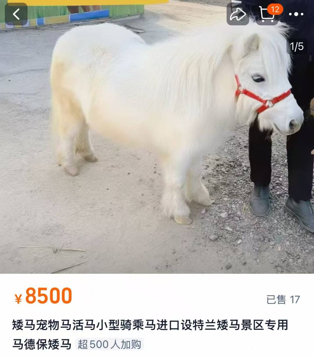 ad33dc0fadf88267d78ad13d8c073eeb