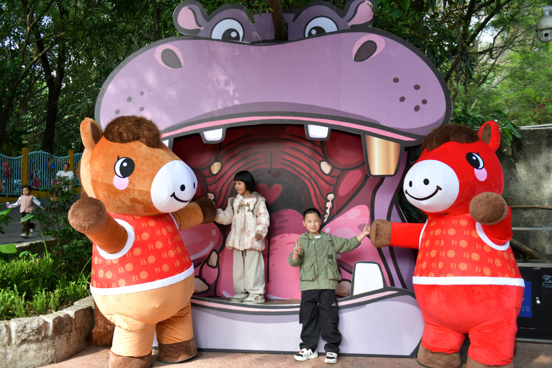 2月11日,春节期间,广州动物园化身为一座“马”趣横生的生态乐园,这里不仅有矮马、斑马等“马家族”成员,更有“斑马线”“河马大嘴巴”等马年专属打卡点位全新上线,搭配“动物明星拜大年”人偶巡游、马年生肖游园会、“马族大揭秘”特展及动物丰容等多场特色活动轮番上演,让动物与市民一起热热闹闹过新年!图为游客在马年专属打卡点拍照打卡。