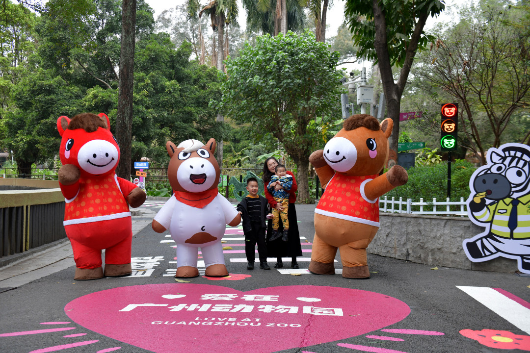 2月11日,春节期间,广州动物园化身为一座“马”趣横生的生态乐园,这里不仅有矮马、斑马等“马家族”成员,更有“斑马线”“河马大嘴巴”等马年专属打卡点位全新上线,搭配“动物明星拜大年”人偶巡游、马年生肖游园会、“马族大揭秘”特展及动物丰容等多场特色活动轮番上演,让动物与市民一起热热闹闹过新年!图为动物园里多了条“马路”。