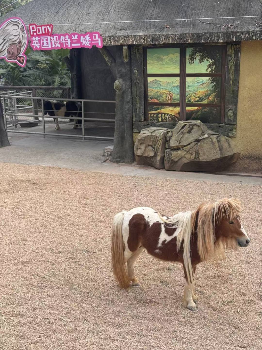 af2d1cc6c8951041cae8d3c5da96ab63