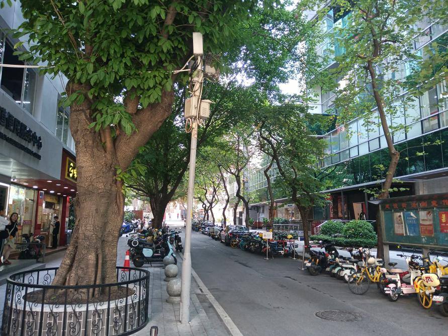 宁静、清洁的六马路社区