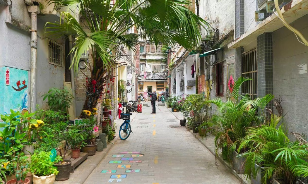 街巷里绿意盎然