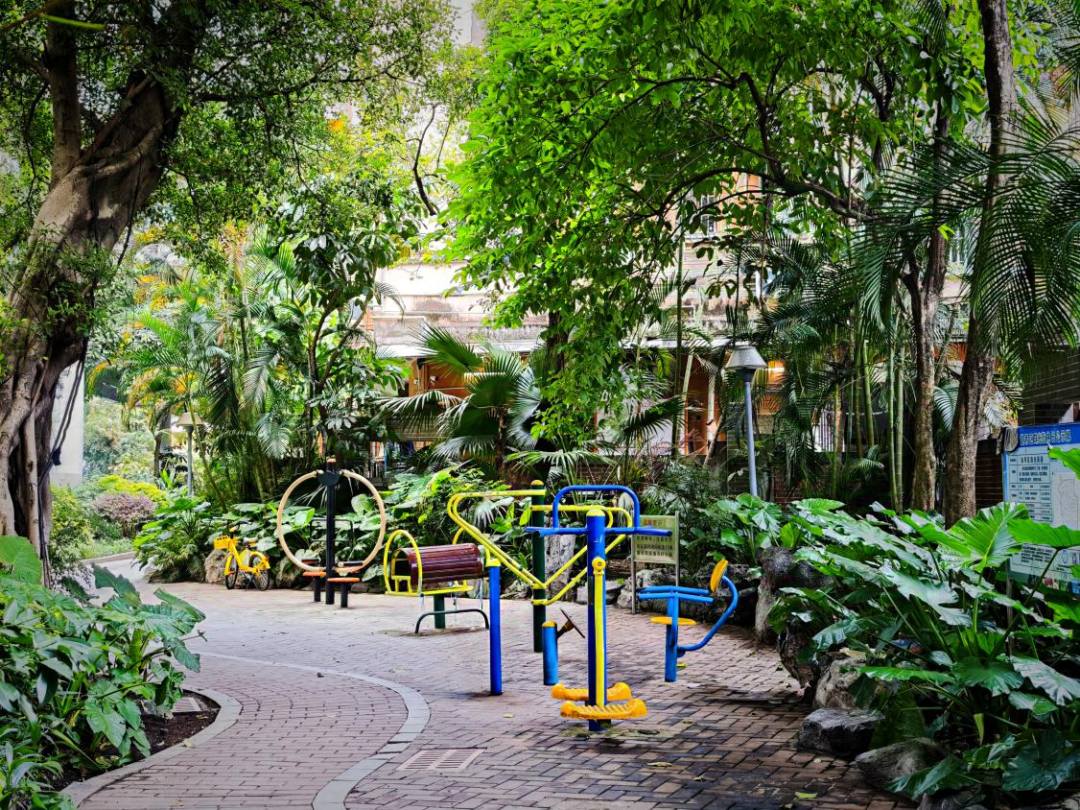 家门口的健身器材