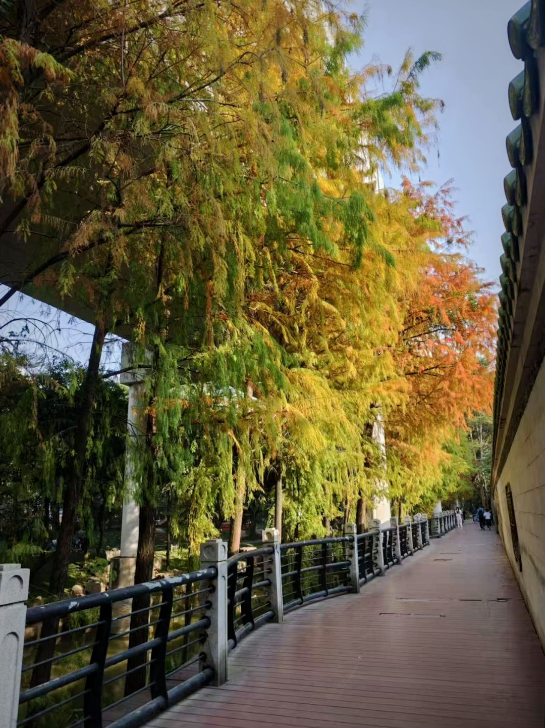 社区里的绿色栈道