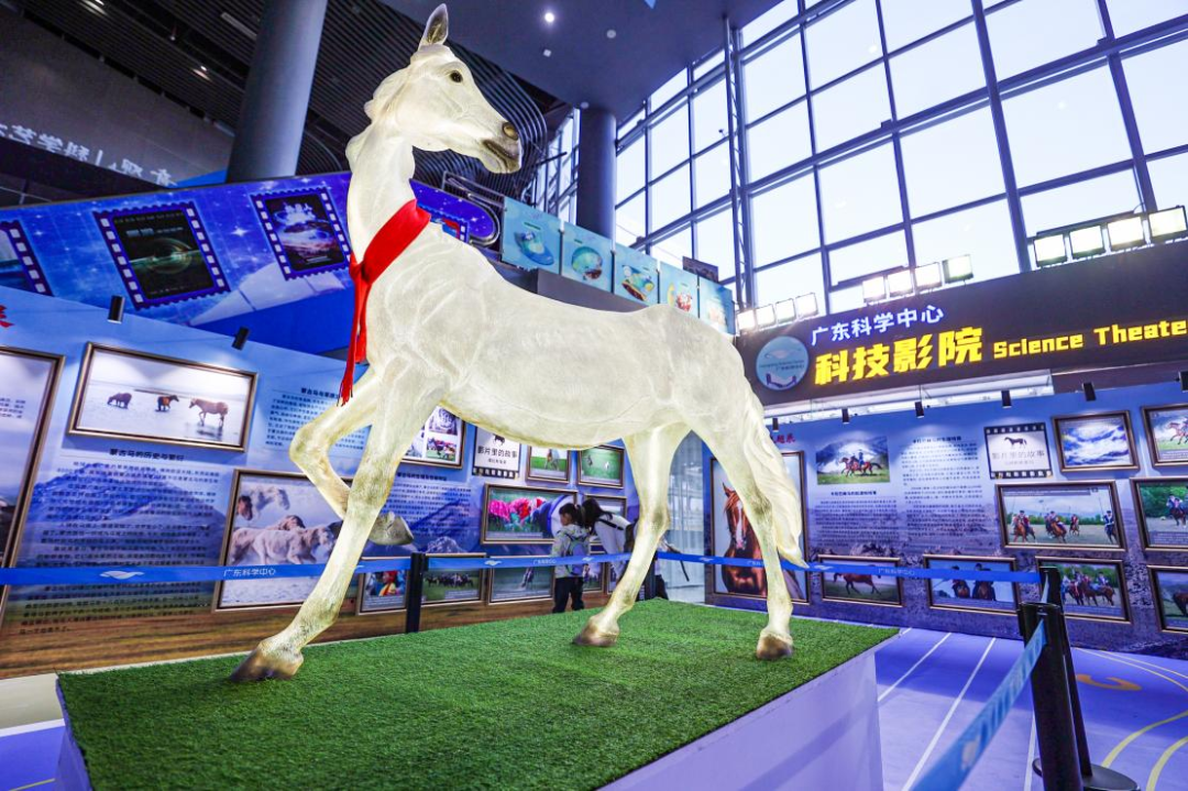 4e2d6a2af449451726970dc944b0f16.png 4e2d6a2af449451726970dc944b0f16.png