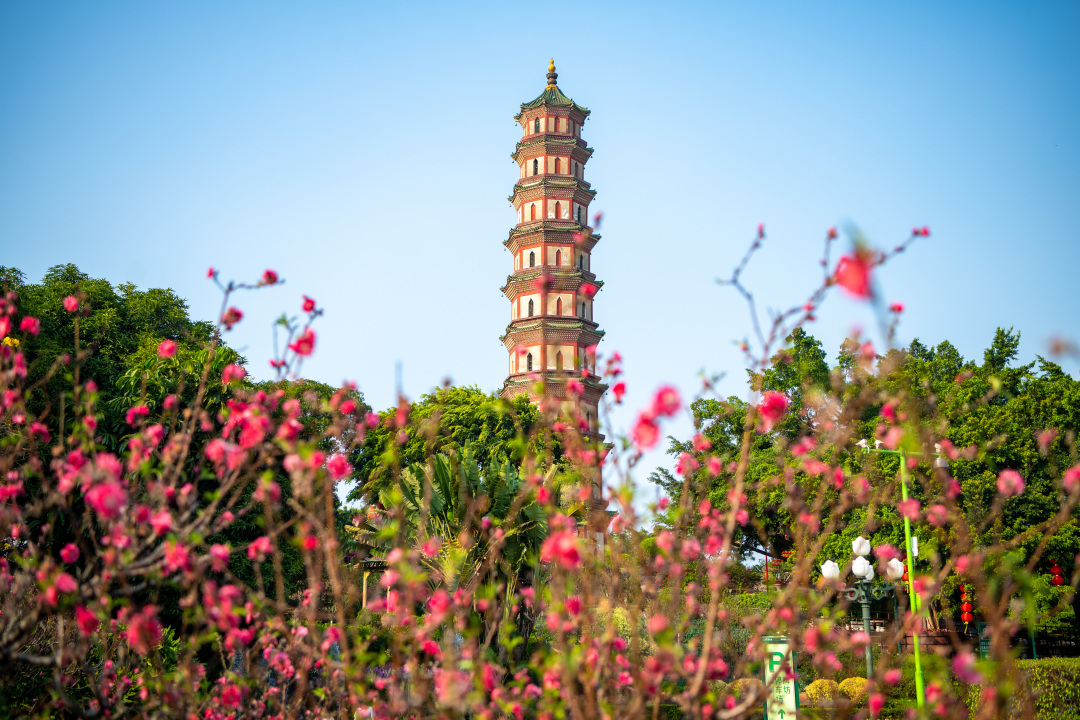 李波20240221莲花山公园 (5)