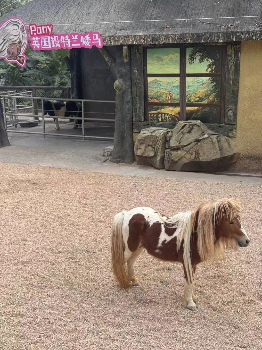 af2d1cc6c8951041cae8d3c5da96ab63