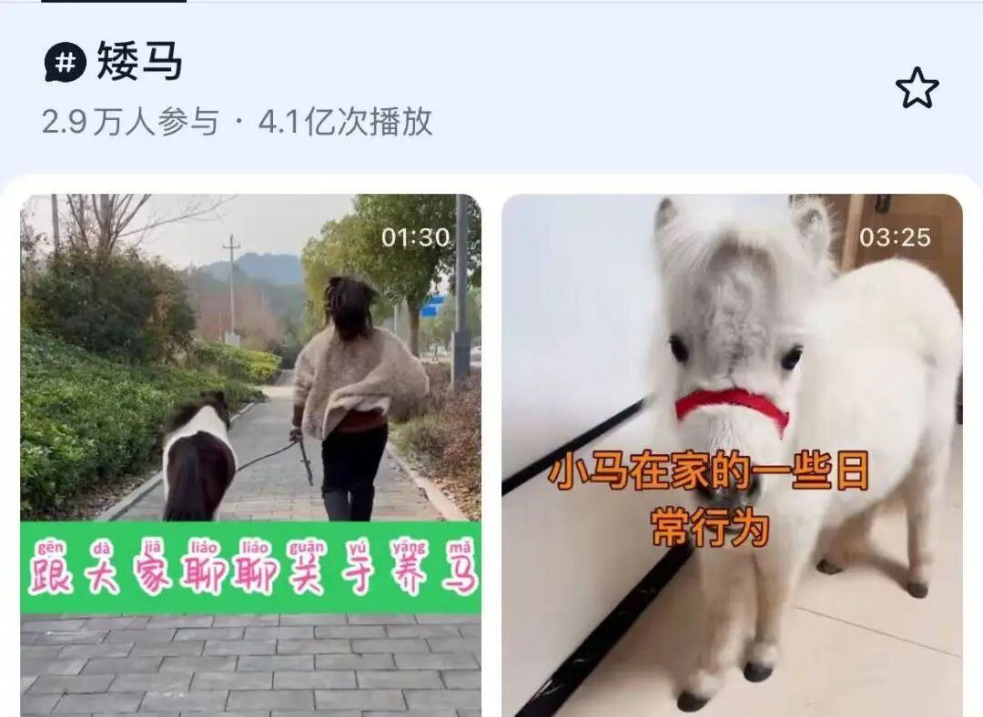 0eb2bf7357edf12966bdfcc050698e08