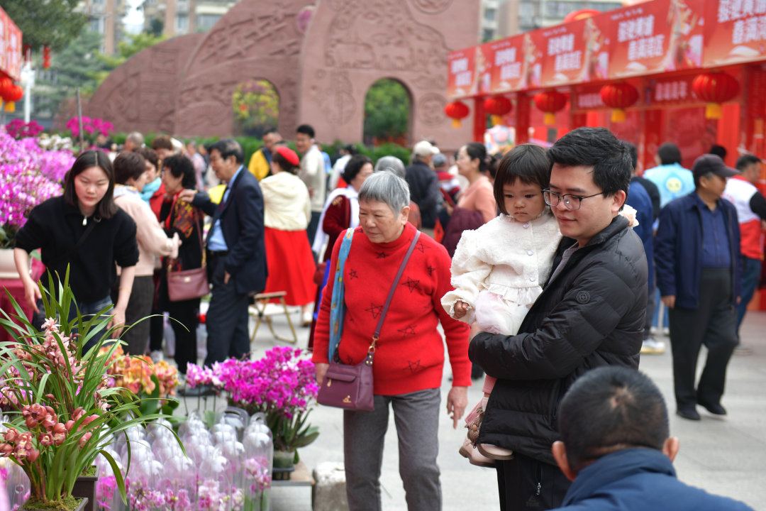 2月12日,以“骏驰黄埔 春满湾区”为主题的黄埔迎春花市热闹开锣。图为市民选购年花。