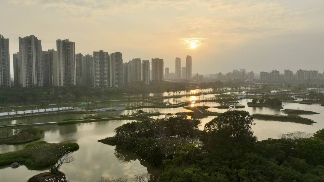 微信图片_20260213154440_938_86