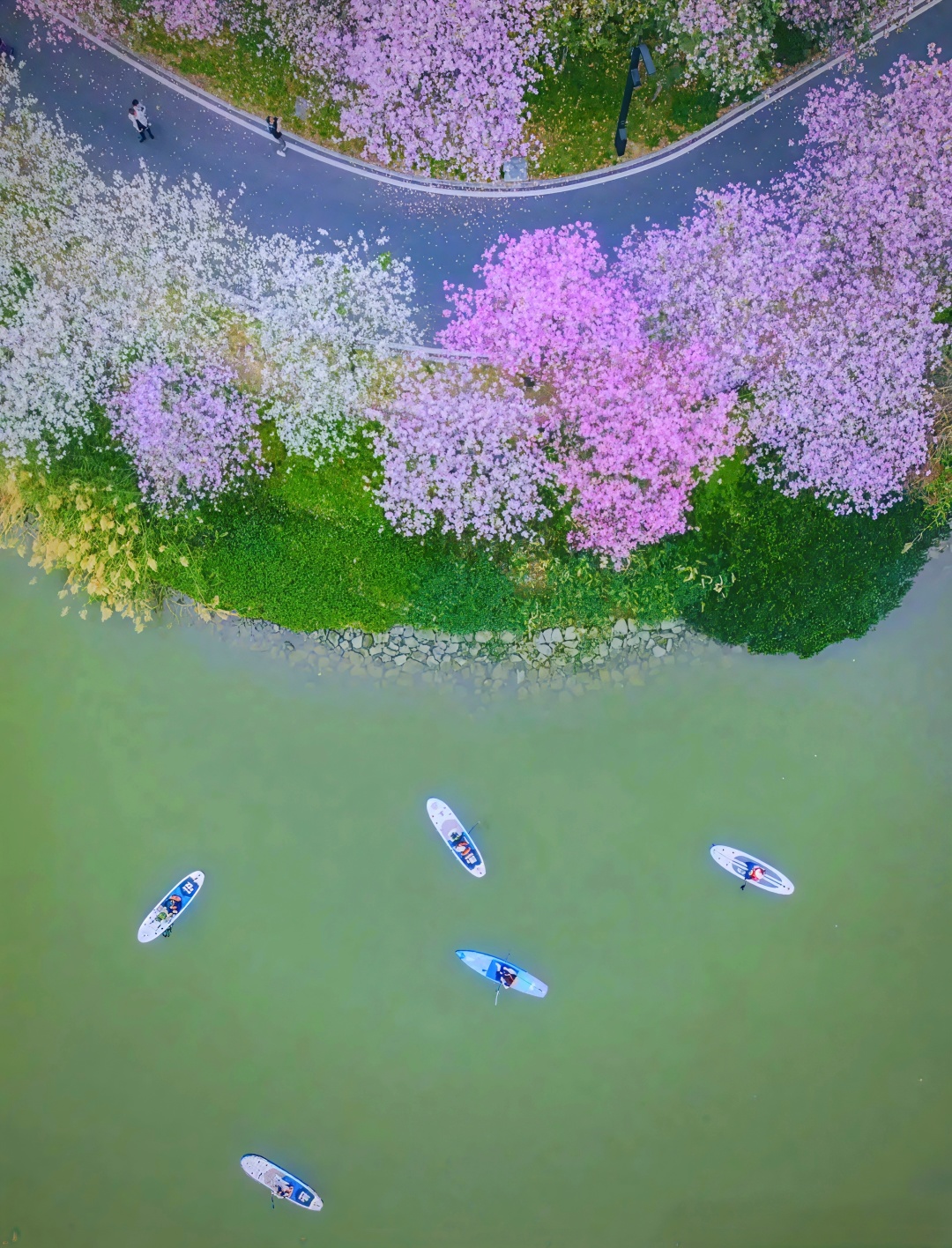 6-海珠湿地花朝节