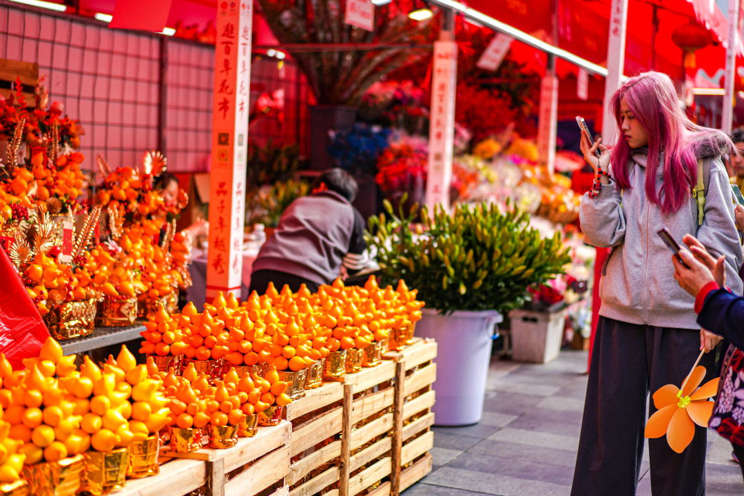 黄金果(五代同堂)——最热门的年宵花之一。