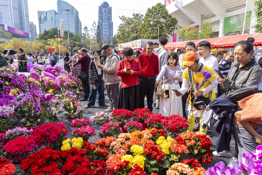 天河花市,市民挑选年花。