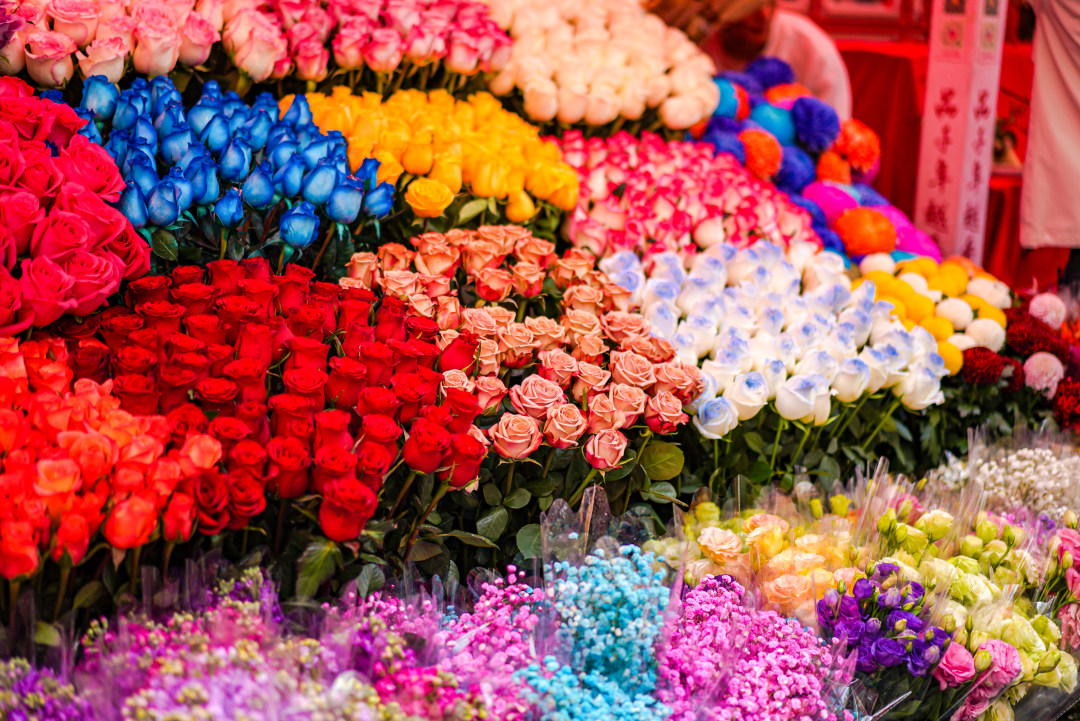 花市上五彩斑斓的鲜花